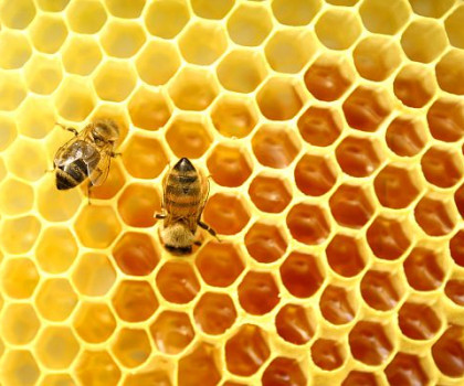 Мед-косметика от природы. Продуктый пчеловодства.